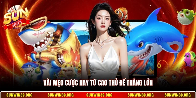 Vài mẹo cược hay từ cao thủ để thắng lớn
